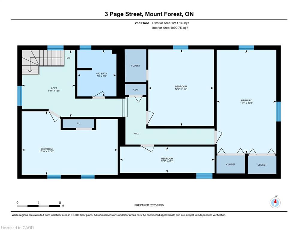 3 Page Street Property Photo 42