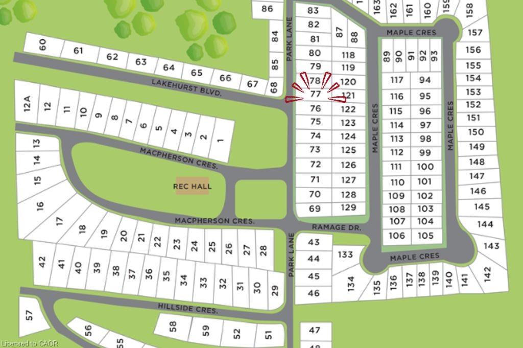 77 Park Lane Property Photo 22