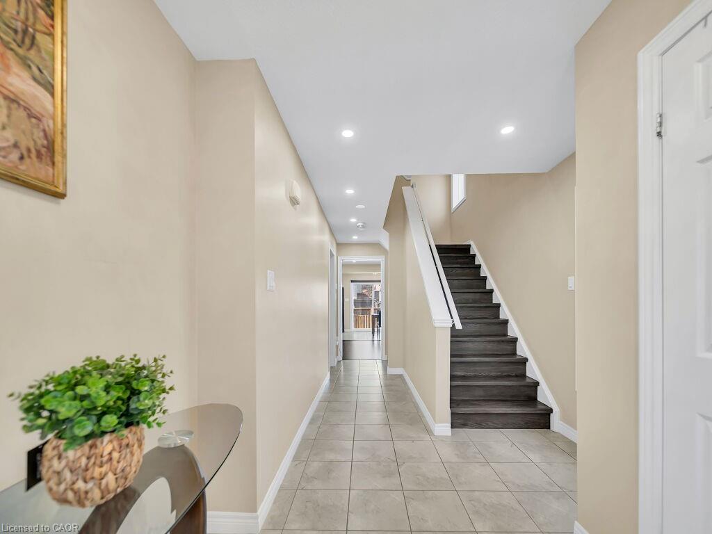 3 Mccann Street Property Photo 7