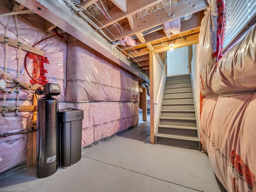 3 Mccann Street Property Photo 37