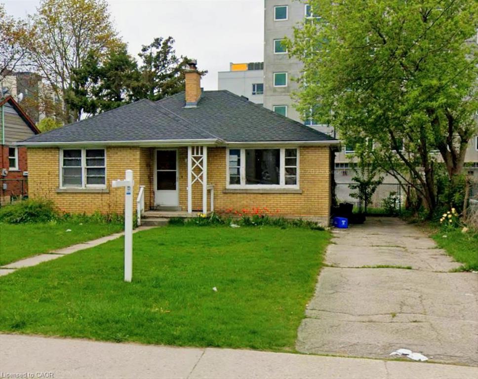 293 Albert Street Property Photo 1
