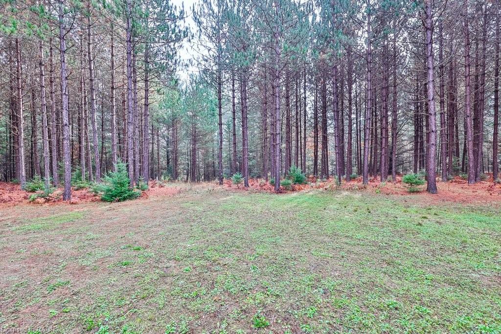 72 Harmonious Drive Property Photo 36