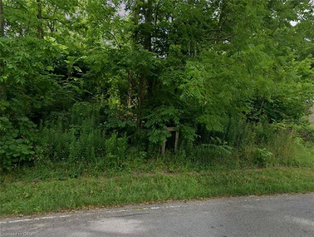 37 Bradley Street Property Photo 1