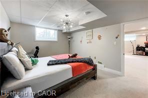 9 William Street S Property Photo 21