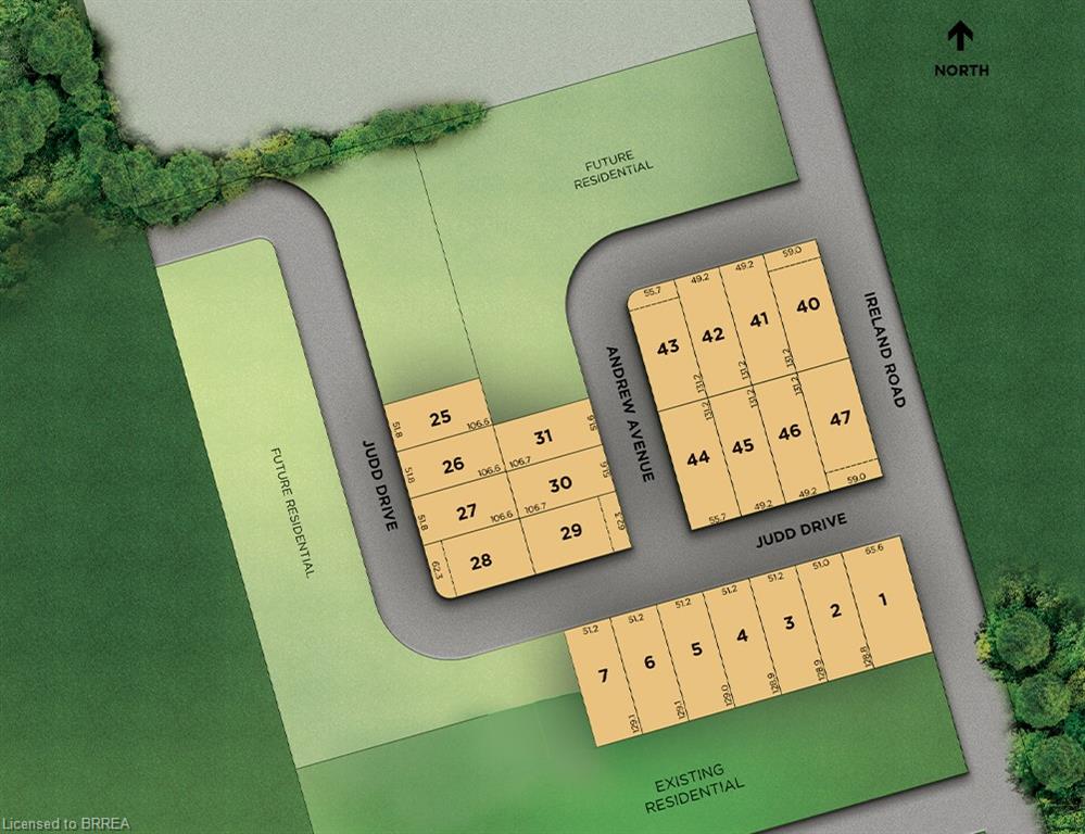 31 Andrew Avenue Property Photo 4