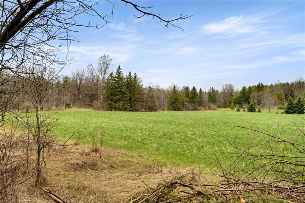 4620 Sideroad 20 N Road Property Photo 44