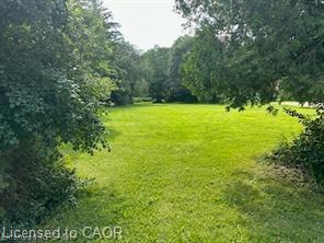 1161 Edgewood Road Property Photo 2