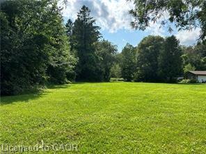 1161 Edgewood Road Property Photo 5