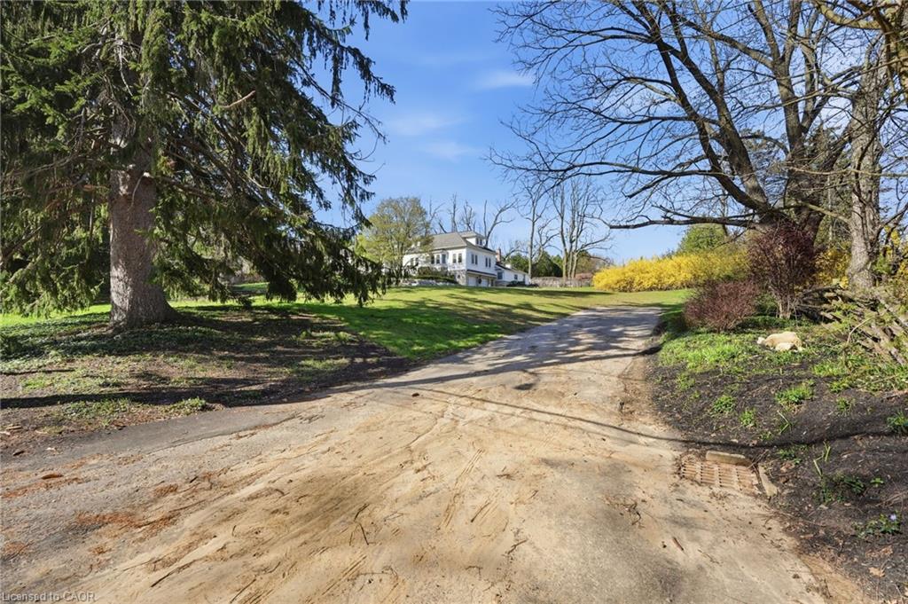 206 Lovers Lane Property Photo 7