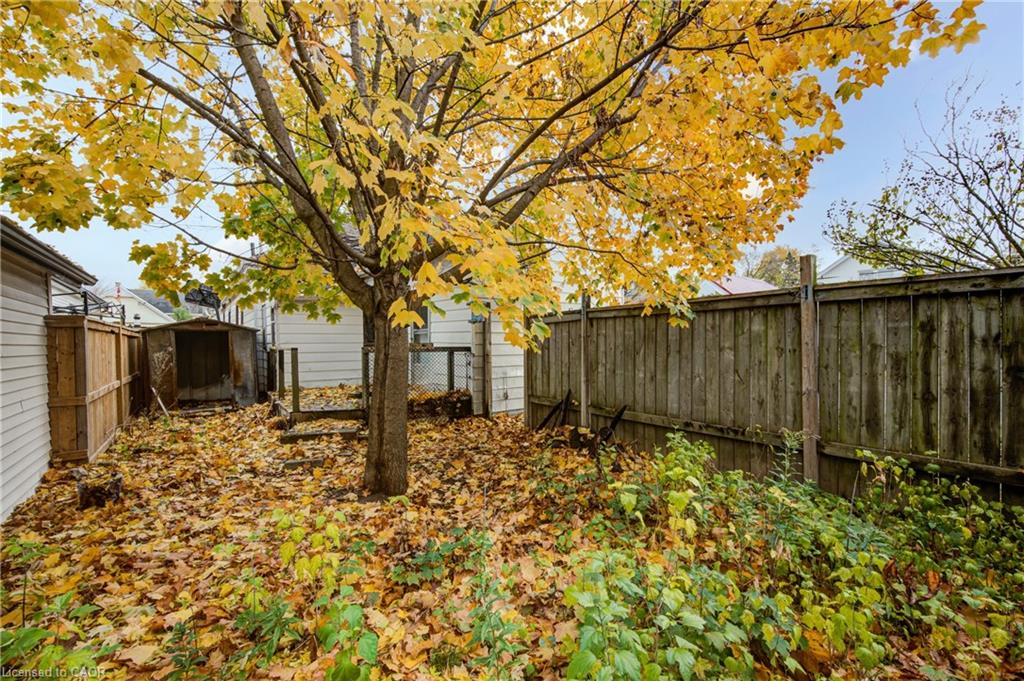 1 Rathgar Street Property Photo 39