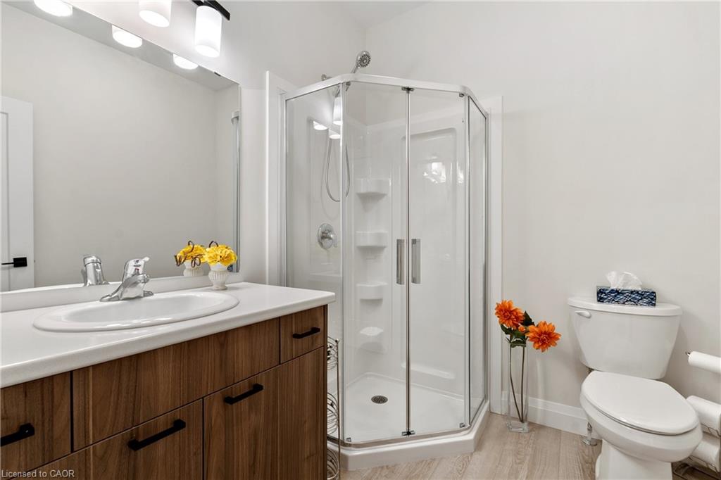 19 Martin Street Property Photo 15