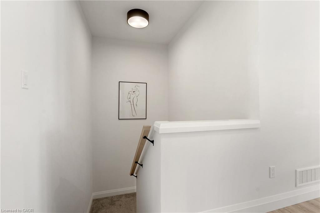 19 Martin Street Property Photo 17