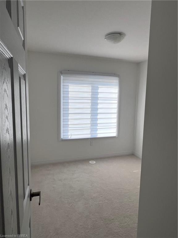 39 Hine Road Property Photo 27