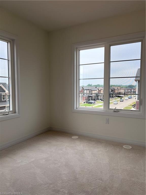 39 Hine Road Property Photo 29