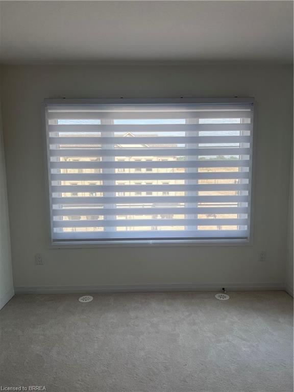 39 Hine Road Property Photo 42