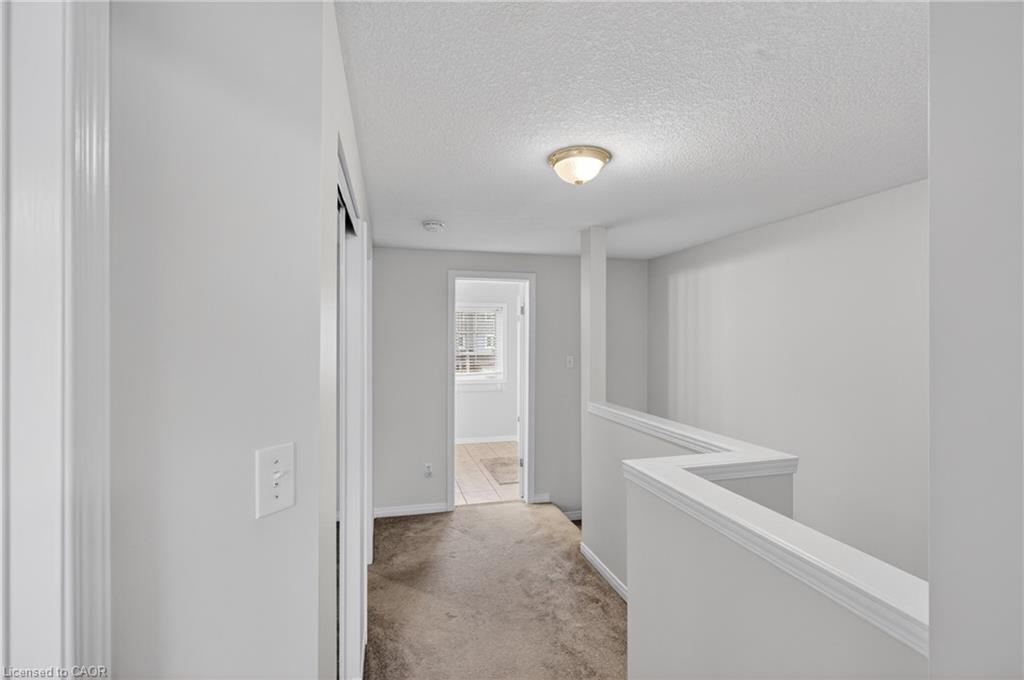 12 Ferncliffe Street Property Photo 33