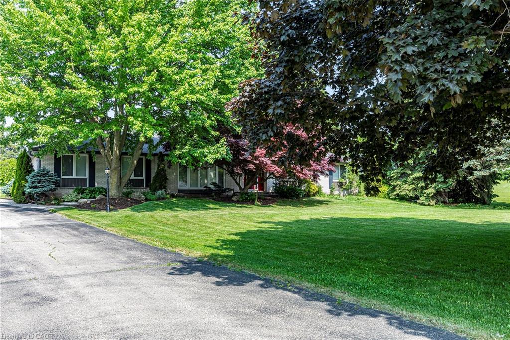 4245 Cedar Springs Road Property Photo 2
