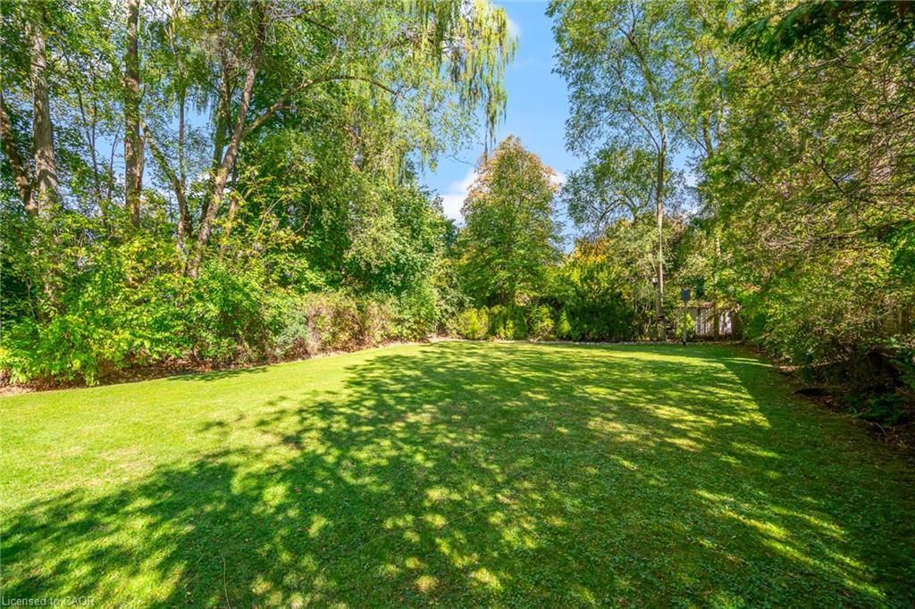 225 Anne Street Property Photo 3