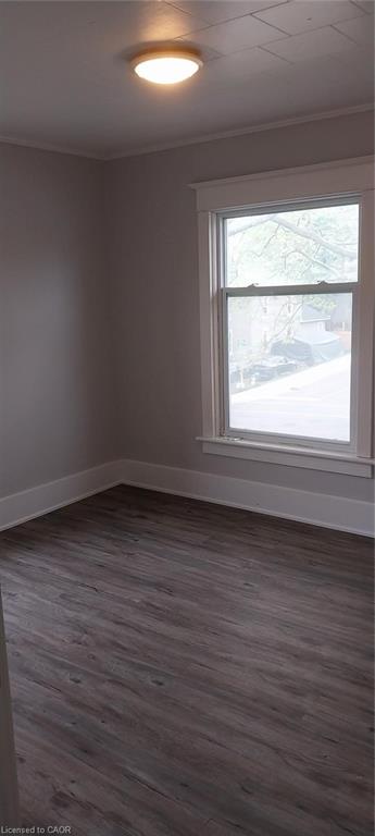 50 Rife Avenue Property Photo 6