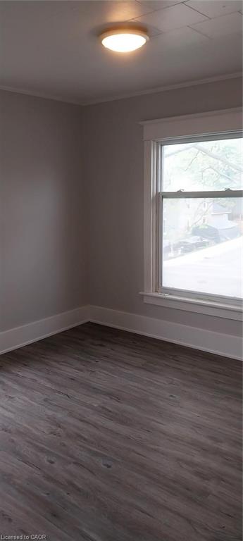 50 Rife Avenue Property Photo 7