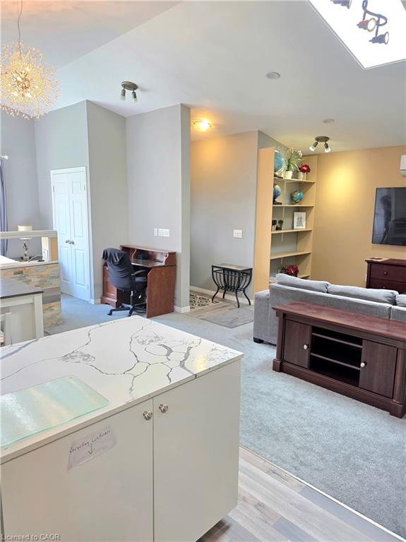16 Forest Hill Road Property Photo 24