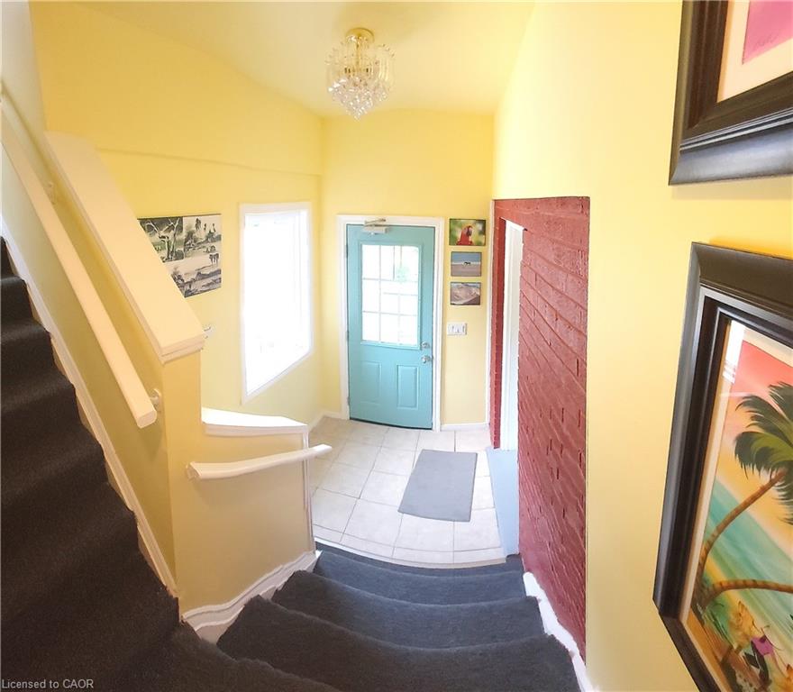 16 Forest Hill Road Property Photo 39
