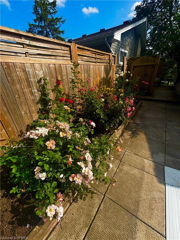 38 Slater Street Property Photo 25