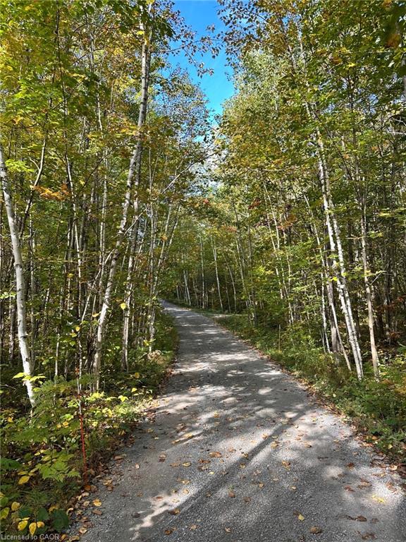 216 Smooth Rock Road Property Photo 2
