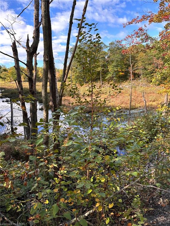 216 Smooth Rock Road Property Photo 3