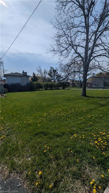 36 Wallis Avenue Property Photo 9