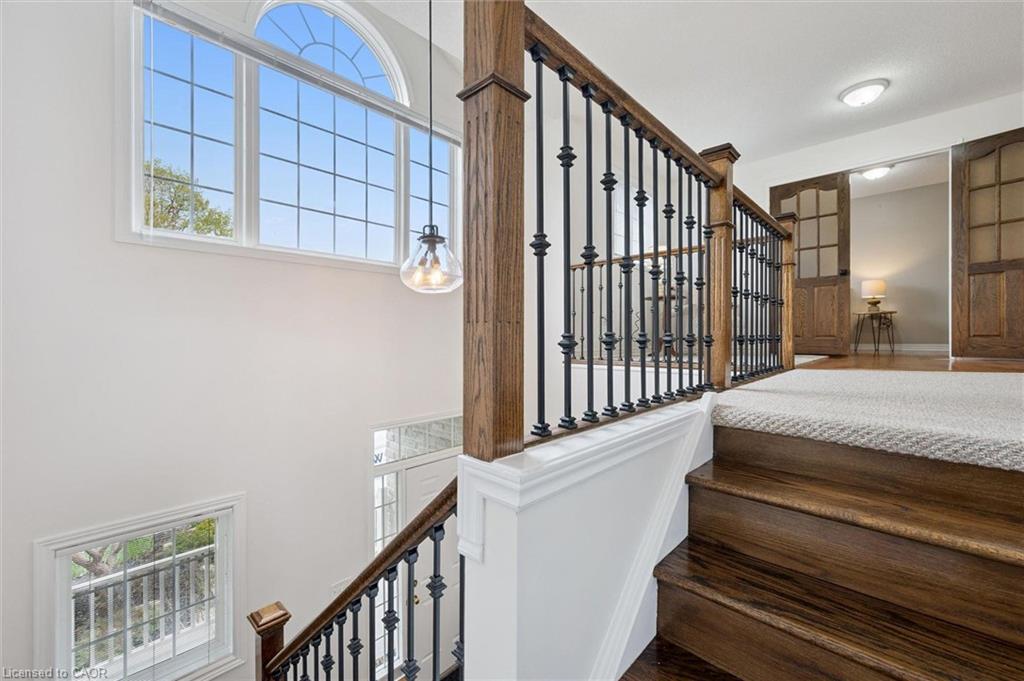 7 Hardy Street Property Photo 17
