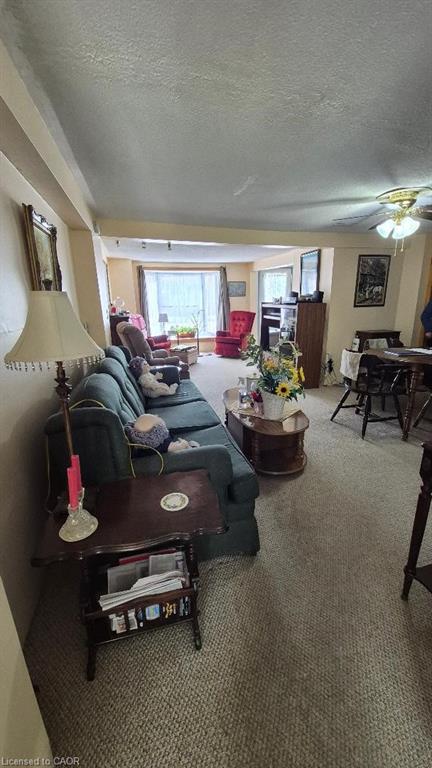 257 Cedar Street Property Photo 7