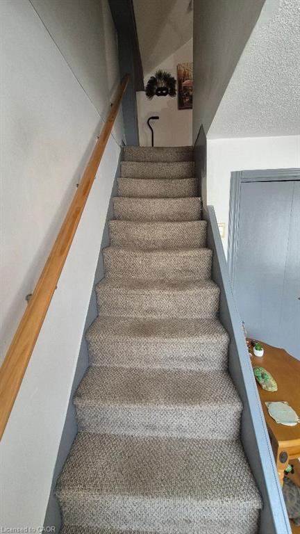 257 Cedar Street Property Photo 20