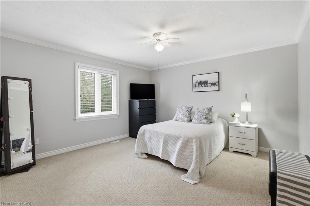 6 Vanstraalen Street Property Photo 26