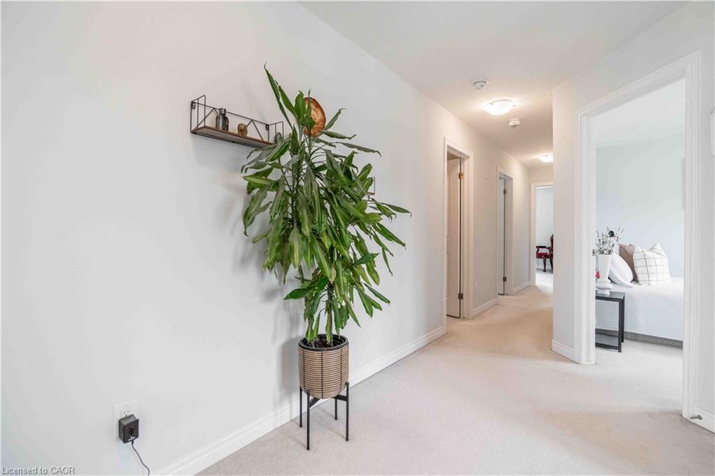 3 Narbonne Crescent Property Photo 34