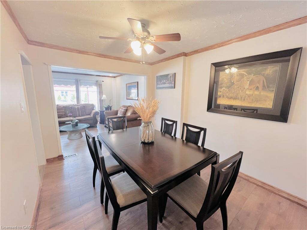 56 Eastvale Place Property Photo 8