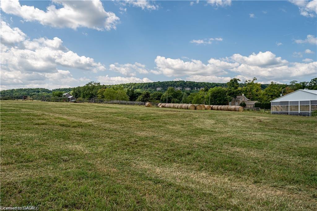 4197 Walkers Line Property Photo 1