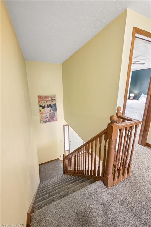 53 Bock Court Property Photo 31
