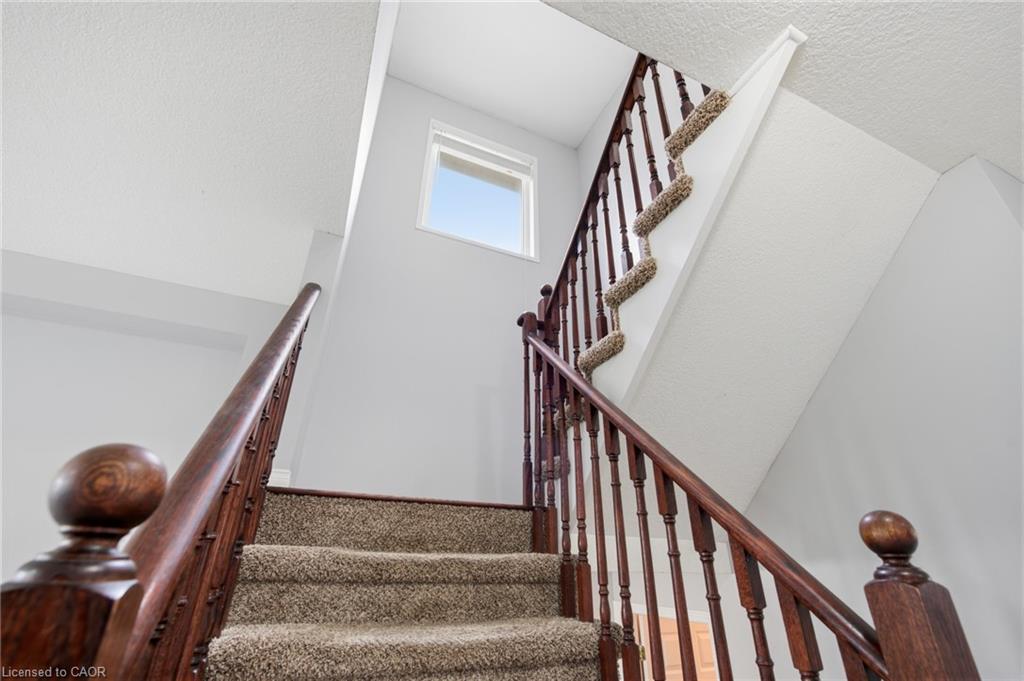 48 Griffiths Avenue Property Photo 19
