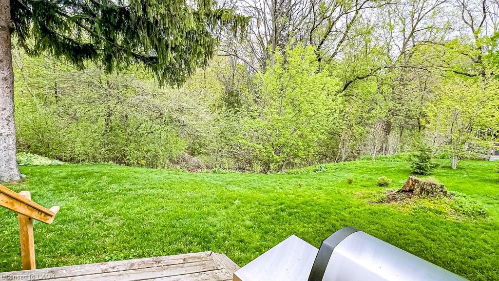 19 Chateau Court Property Photo 43