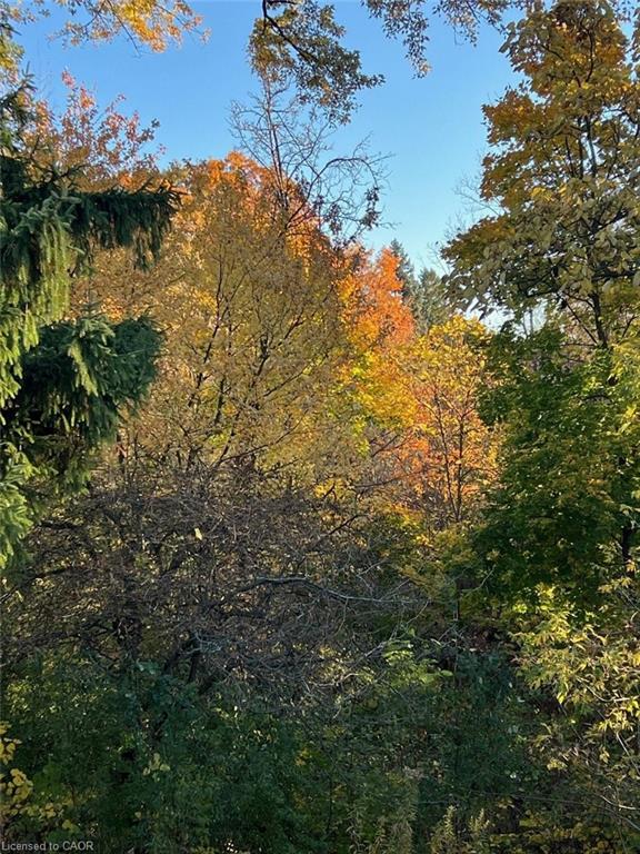 19 Chateau Court Property Photo 49