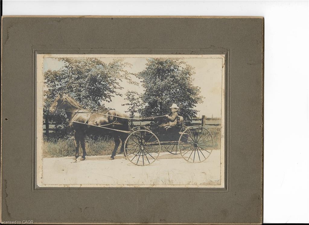 464 Piper Street Property Photo 49