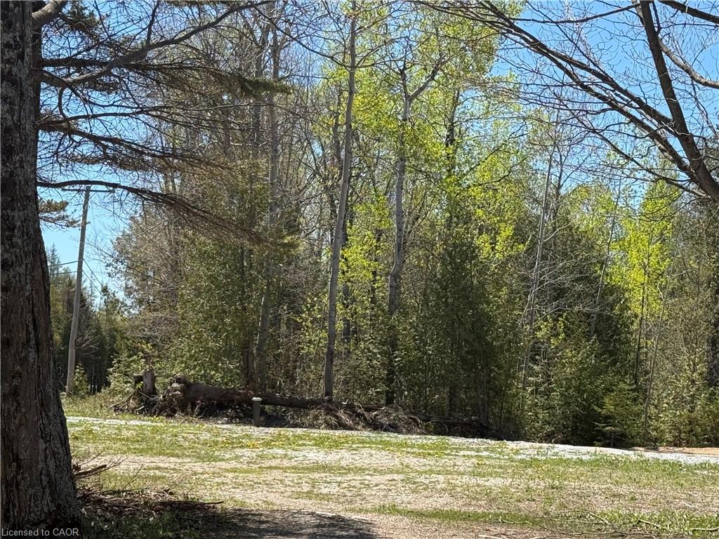 0 Highway 540 Property Photo 4