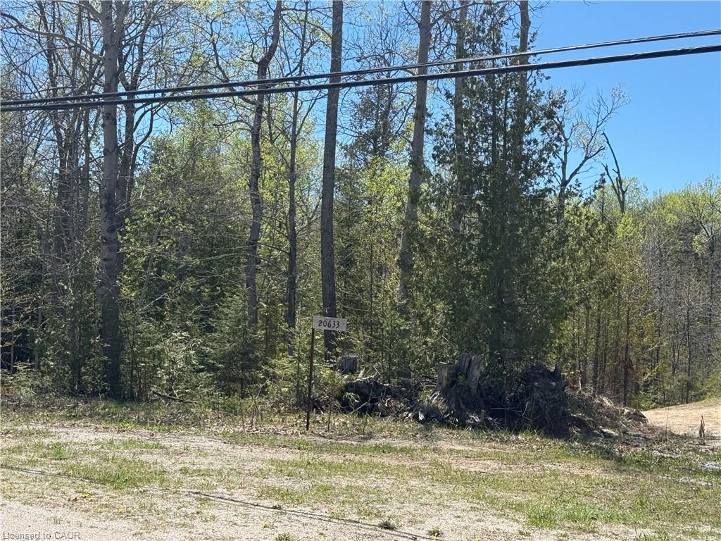 0 Highway 540 Property Photo 5