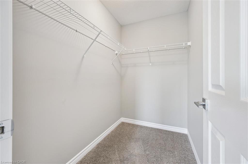 20 Lomond Lane Property Photo 38