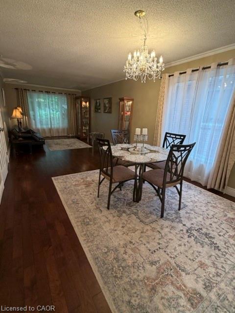 1029 Dina Crescent Property Photo 11
