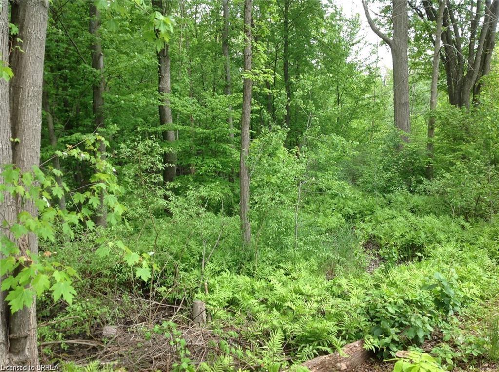 128 Otto Lane Property Photo 47