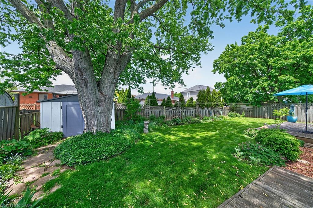 439 Murray Street Property Photo 28