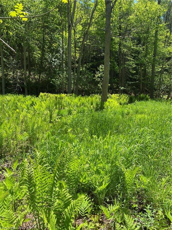 11519 522 Highway Property Photo 36