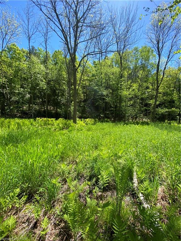 11519 522 Highway Property Photo 37